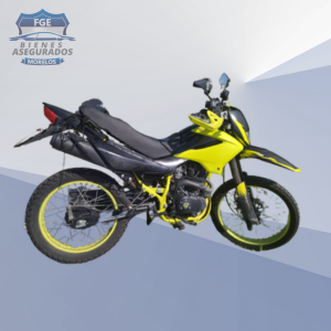 ITALIKA DM200