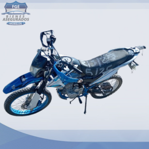 ITALIKA DM 250
