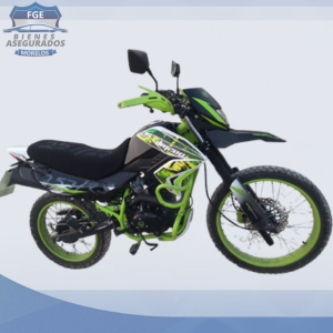 ITALIKA DM200