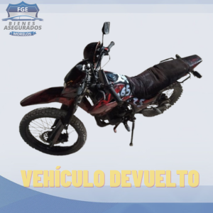 ITALIKA DM200