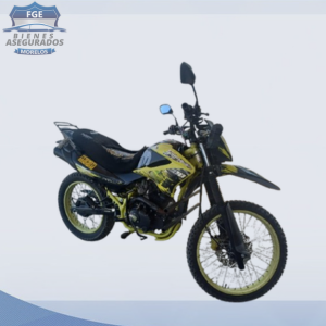 ITALIKA DM200