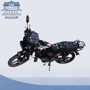 VELOCIT	BOXER