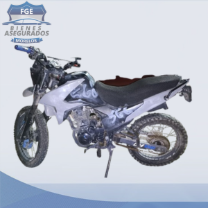 ITALIKA	DM150