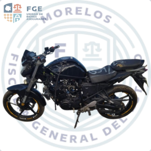 YAMAHA FZ