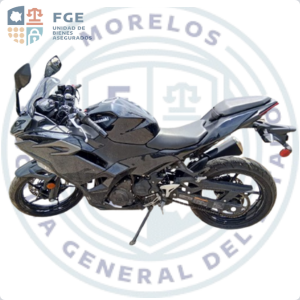 KAWASAKI	NINJA