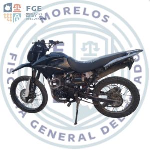 ITALIKA DM250