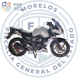 YAMAHA	FZ16