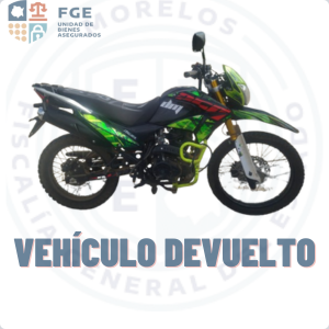 ITALIKA DM250