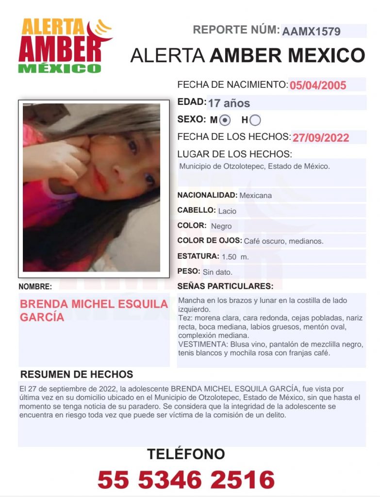 Brenda Michel Esquila García(Edoméx)